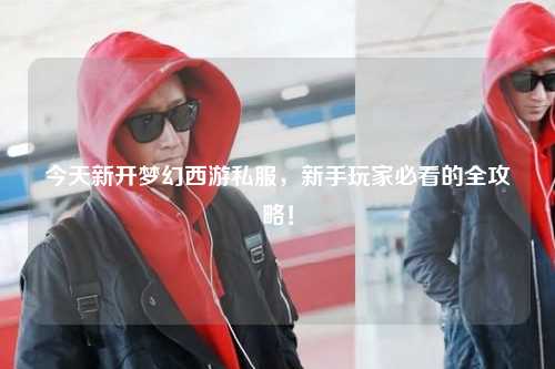 今天新开梦幻西游私服，新手玩家必看的全攻略！